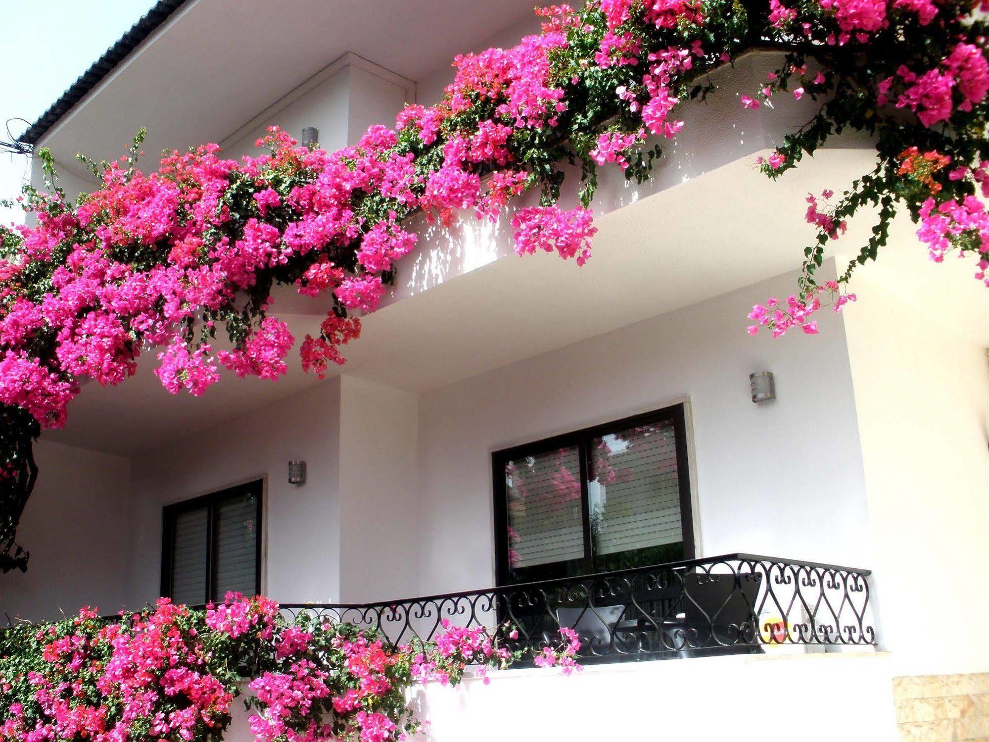Dolce Cascais Guest House מראה חיצוני תמונה